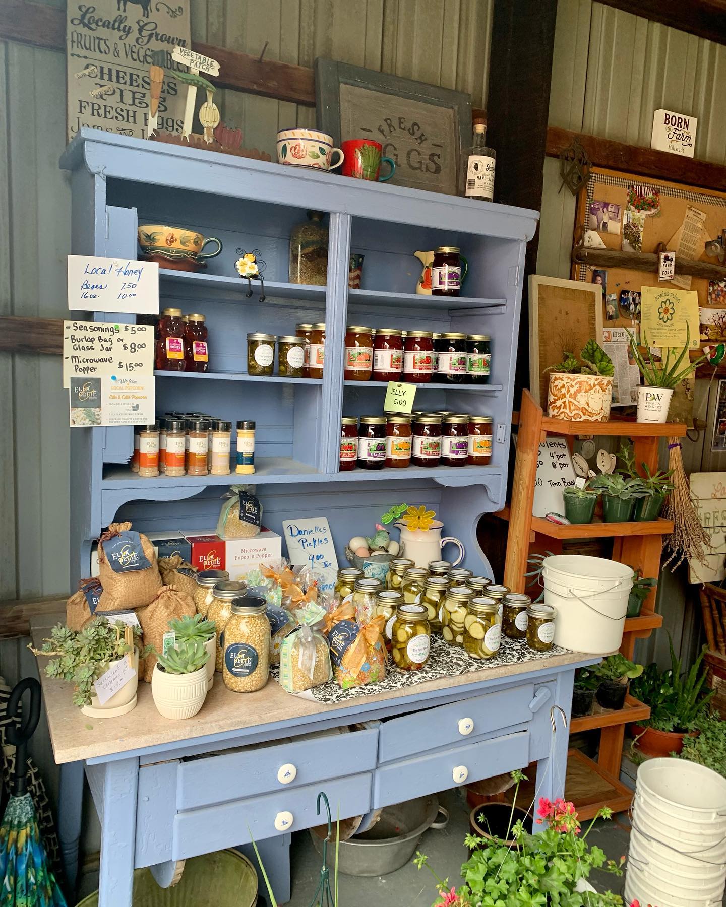 Scharf Farm